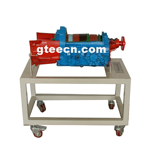 education cutaway model